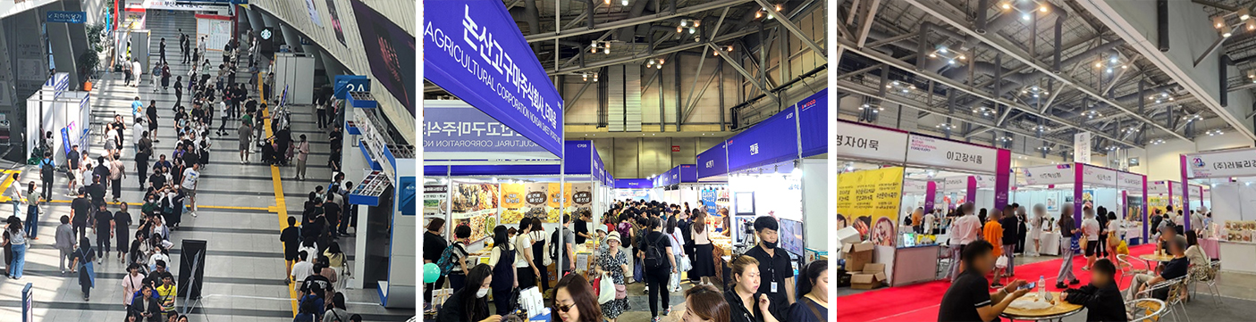 模板.jpg